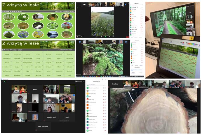 „Wirtualne Wakacje w SPL w Kuwejcie” – Z WIYTĄ W POLSKIM LESIE